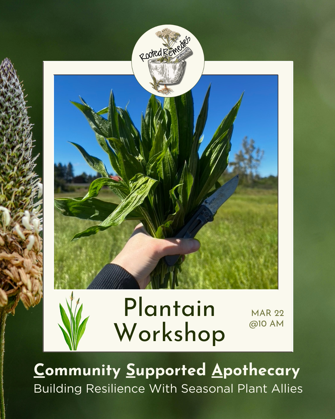 CSA Workshop: Plantain