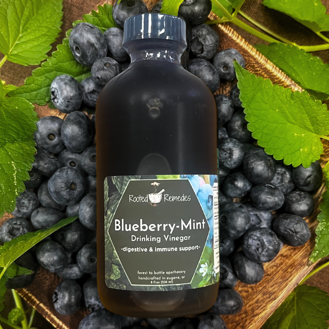 Seasonal Shrub: Blueberry-Mint