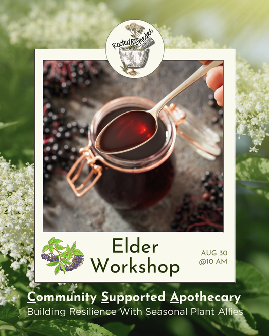 CSA Workshop: Elder