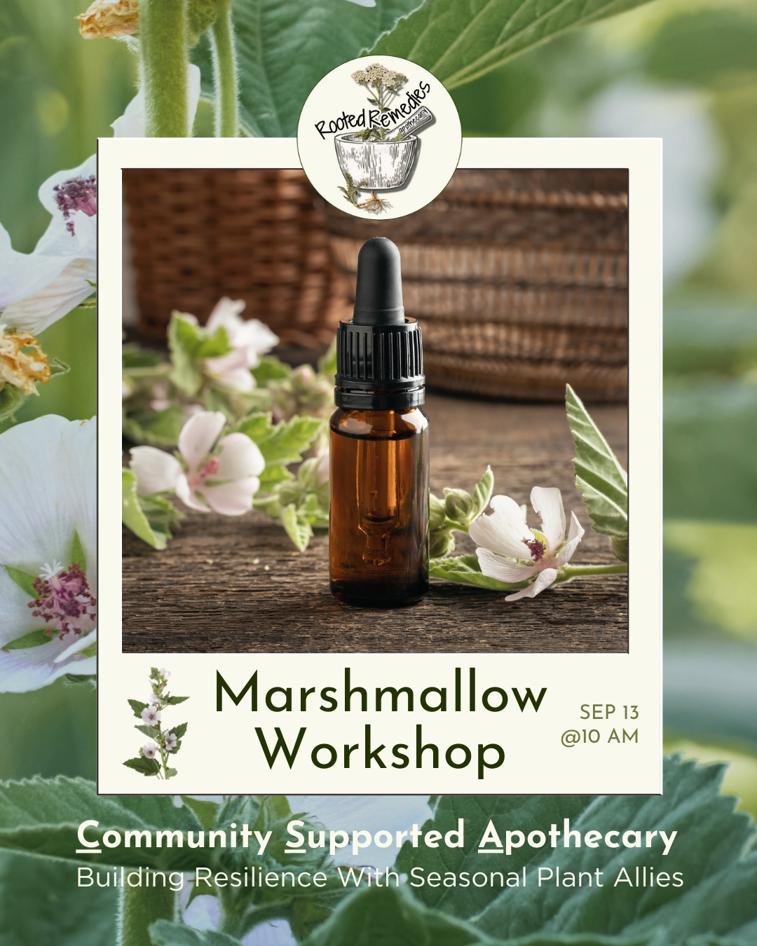 Early Bird - CSA Workshop Bundle