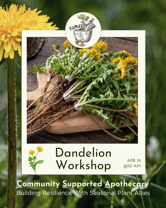 CSA Workshop: Dandelion