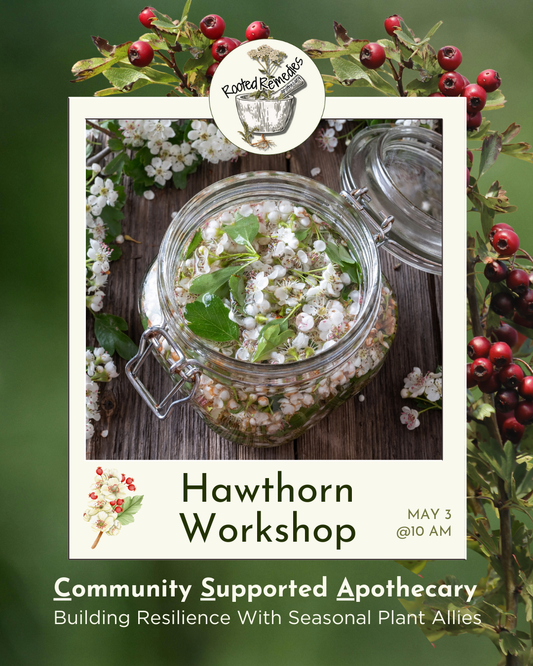 CSA Workshop: Hawthorn
