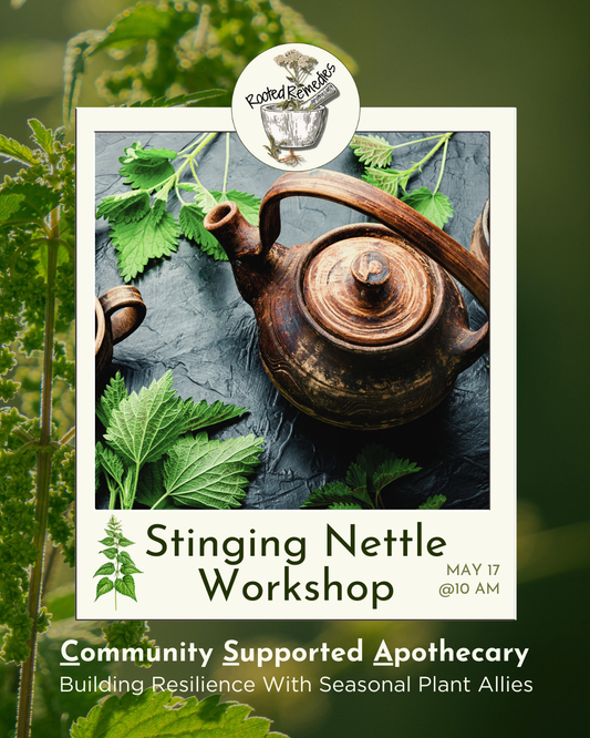 CSA Workshop: Stinging Nettle