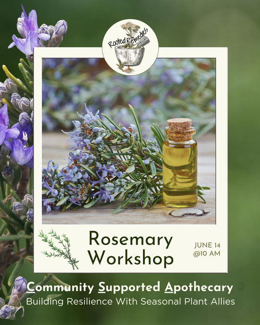 CSA Workshop: Rosemary