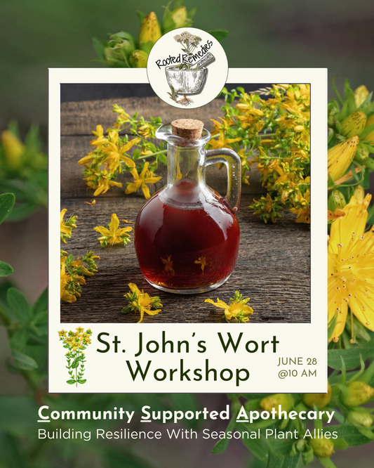 CSA Workshop: Saint Johns Wort