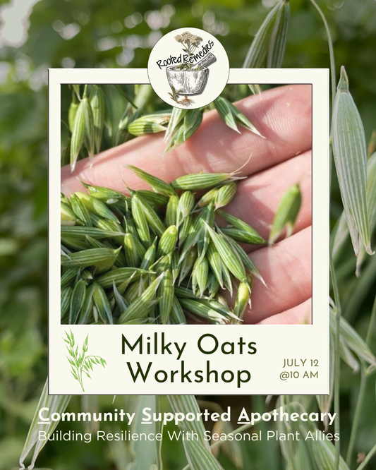 CSA Workshop: Oats