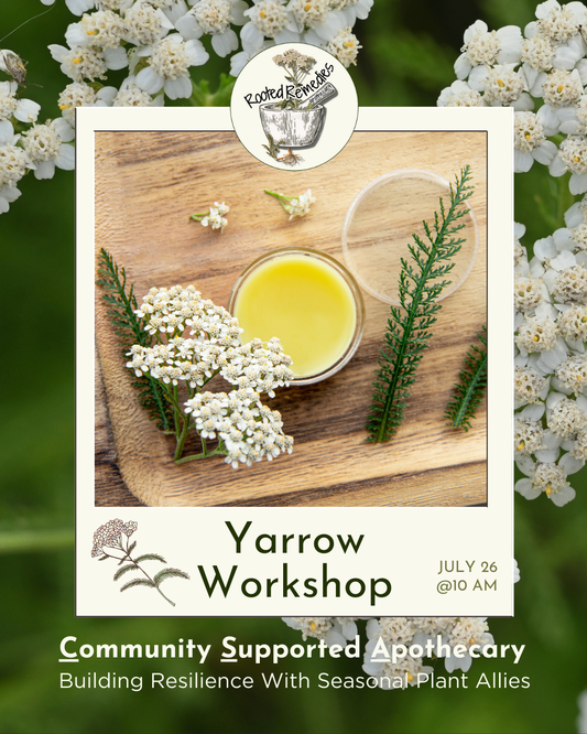 CSA Workshop: Yarrow