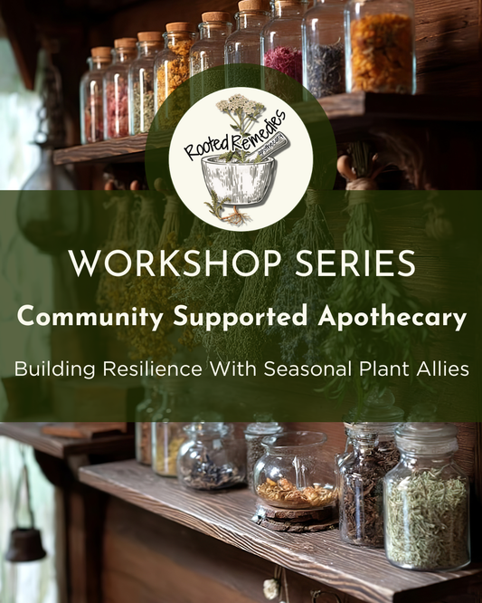 Early Bird - CSA Workshop Bundle