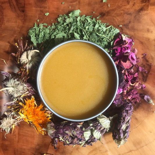 Medicine Making Class: Herbal Oils & Salves - March 8, 2026