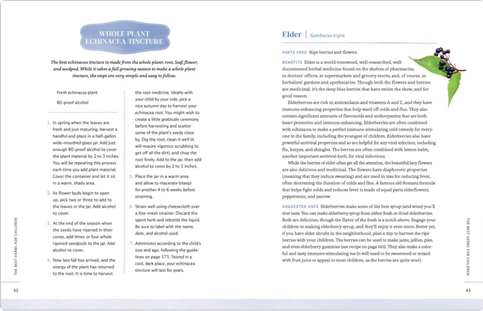 Herbs for Children's Health