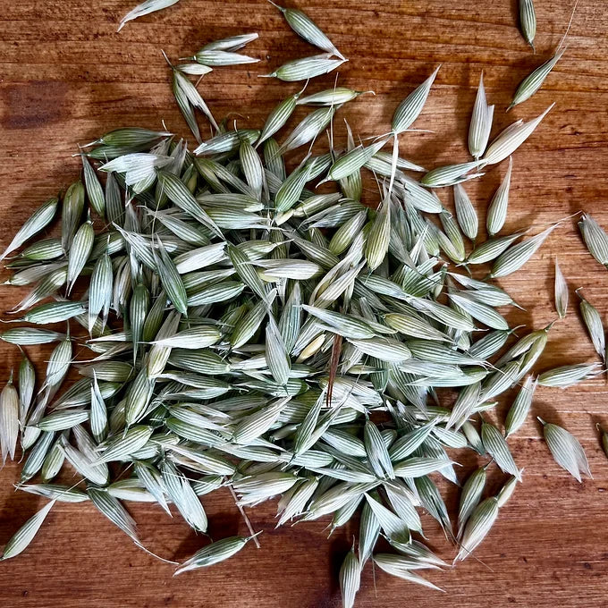 Oat Tops